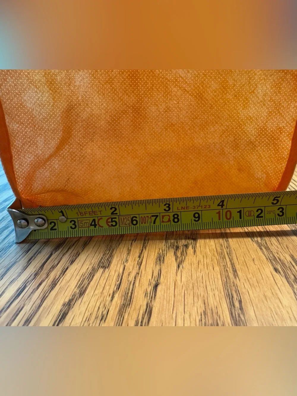 2011 Dunkin Donuts Pumpkin Kids Orange Donut Character Tote Trick or Treat Bag